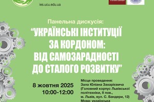 Панельна дискусія «Українські інституції за кордоном: від самозарадності до сталого розвитку»